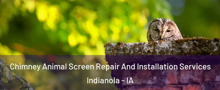 Chimney Animal Screen Repair And Installation Services Indianola - IA