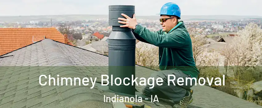  Chimney Blockage Removal Indianola - IA
