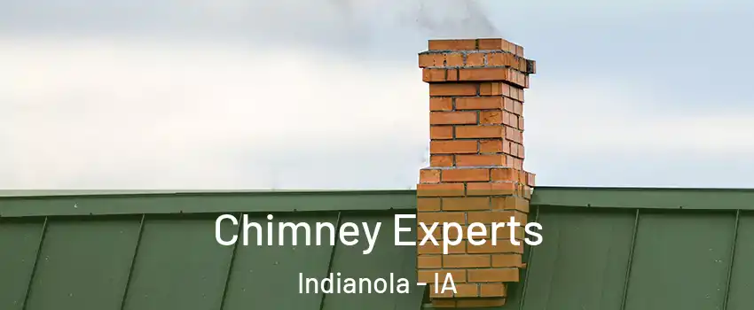  Chimney Experts Indianola - IA