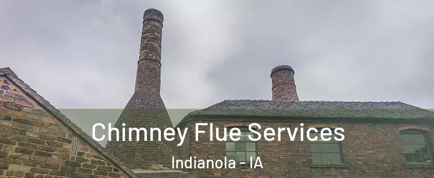  Chimney Flue Services Indianola - IA