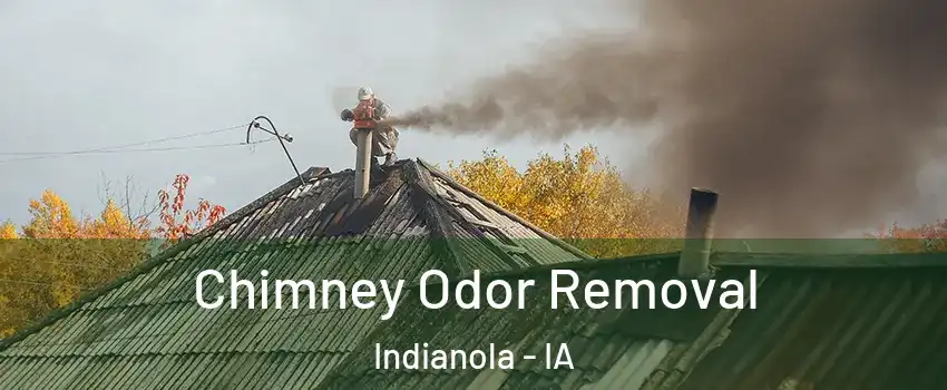  Chimney Odor Removal Indianola - IA