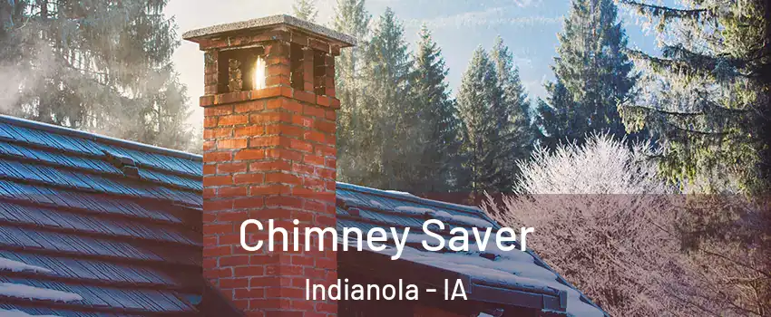  Chimney Saver Indianola - IA