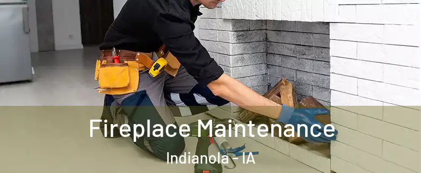  Fireplace Maintenance Indianola - IA