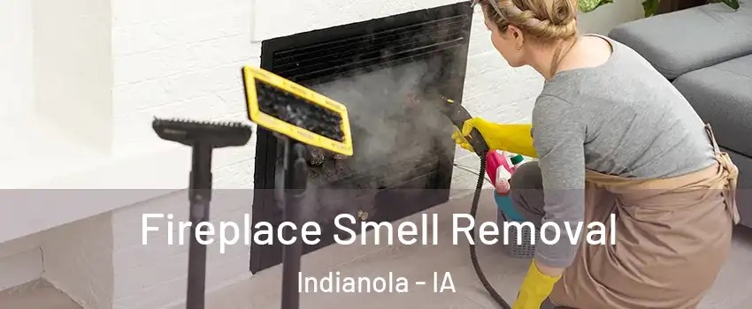  Fireplace Smell Removal Indianola - IA
