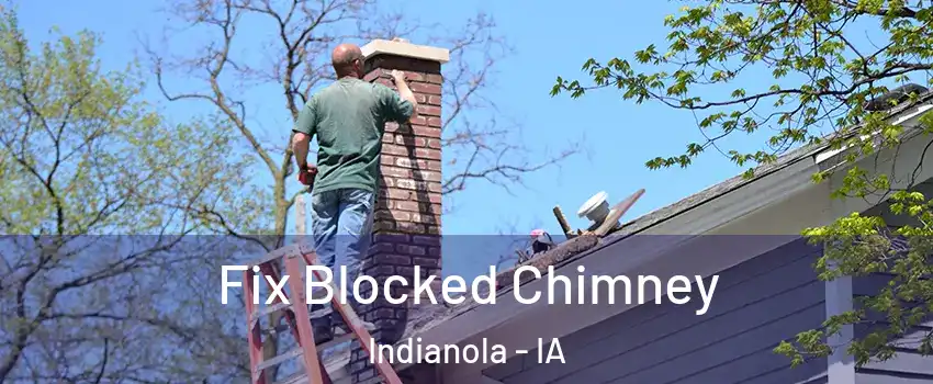  Fix Blocked Chimney Indianola - IA