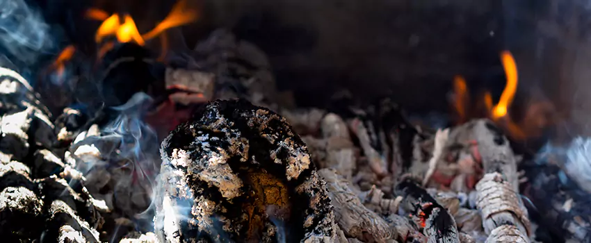 Creosote Removal Experts in Indianola, IA