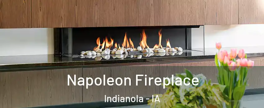  Napoleon Fireplace Indianola - IA